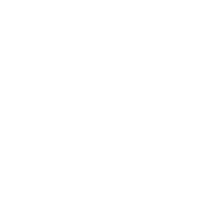 Nette Interactive logo